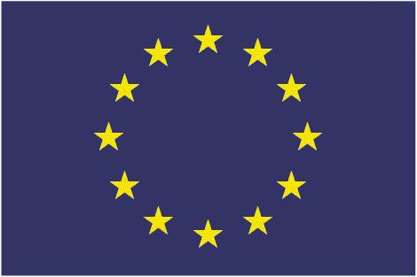 UNIONE EUROPEA Fondo Sociale Europeo DIREZIONE FORMAZIONE PROFESSIONALE LAVORO SETTORE ATTIVITA FORMATIVA PROVINCIA DI NOVARA