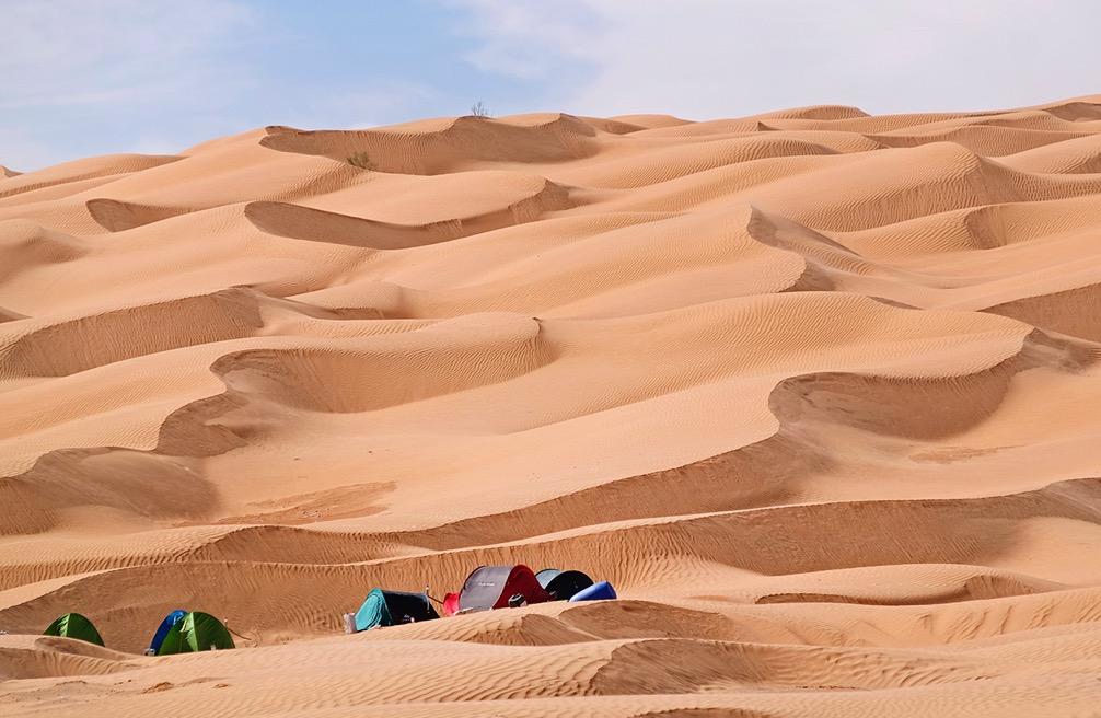 4 Gennaio: Parc Du Jebil Douz: Saluteremo il Sahara con un trasferimento via pista fino a Douz. Sistemazione in hotel vicino al centro del paese dove prevediamo di arrivare per pranzo.