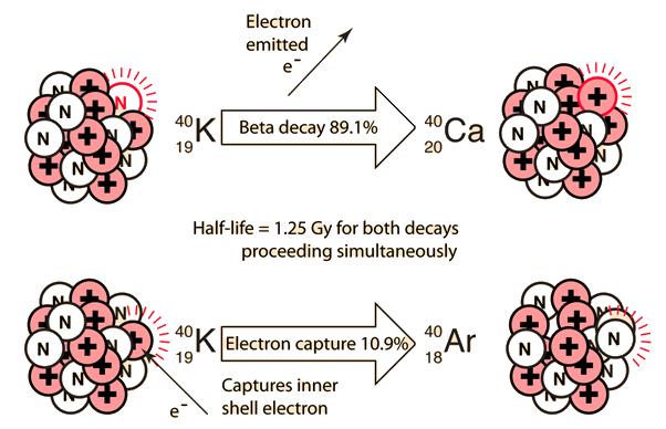 Il 40K Il 40K è lo 0,012% del potassio naturale T1/2 = 1,25 miliardi di anni Può decadere in due modi: