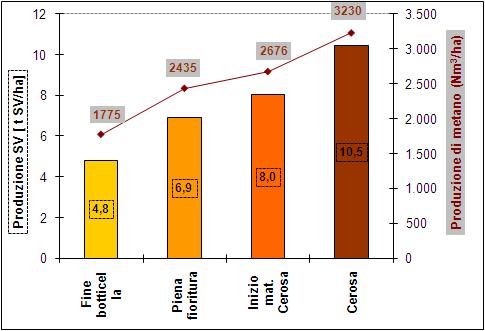 Esempio applicazione BMP Produzione biogas da