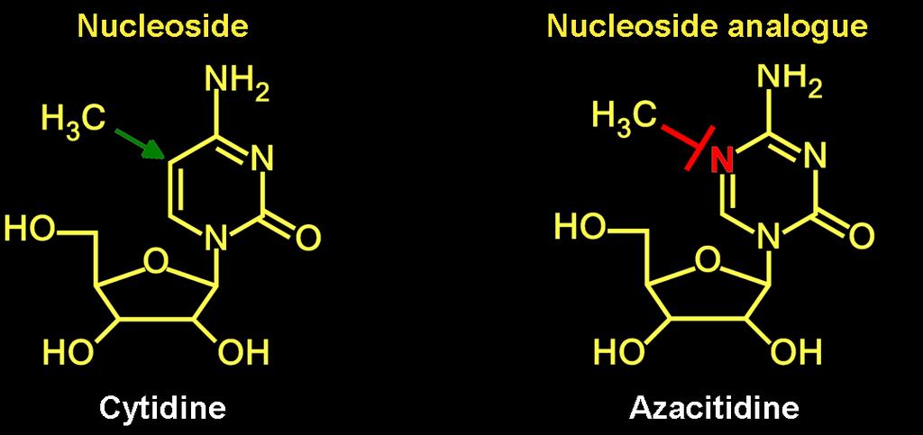 MECCANISMO D AZIONE DELL AZACITIDINA (I) 64 L Azacitidina (AZA) è un analogo della citidina La sostituzione del carbonio (C) nella posizione 5 con un azoto