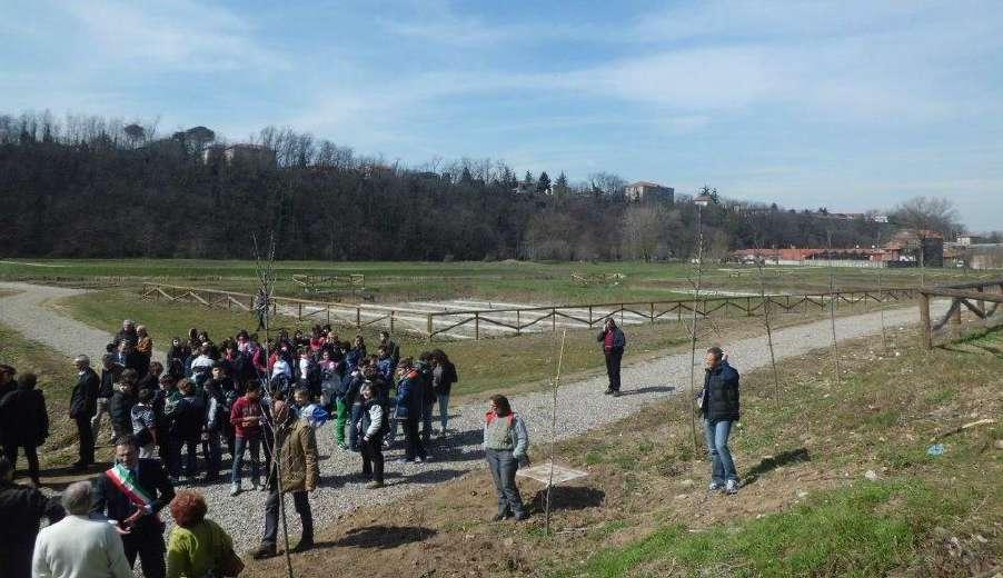 SISTEMA NATURALE DI DEPURAZIONE (FITODEPURAZIONE) E LAMINAZIONE PER IL TRATTAMENTO DELLE ACQUE DI SFIORO DELLA RETE FOGNARIA COMUNALE DI GORLA MAGGIORE Il funzionamento e la gestione Il sistema è