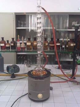 Parte Sperimentale In laboratorio la miscela di partenza è costituita da un olio di semi a cui è stata aggiunta una certa quantità di acido oleico per simulare la presenza di acidi liberi in maggiore