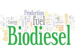 Nell ambito del Progetto Lauree Scientifiche abbiamo partecipato ad un laboratorio organizzato dal Dipartimento di Scienze Chimiche dell Università di Padova riguardante la «Sintesi del Biodiesel»