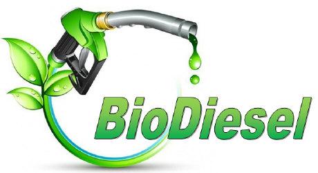 Che cos è il Biodiesel Il biodiesel è un combustibile rinnovabile che si può produrre a partire dalle biomasse o dagli oli alimentari ottenuti dalla raccolta differenziata dei rifiuti.