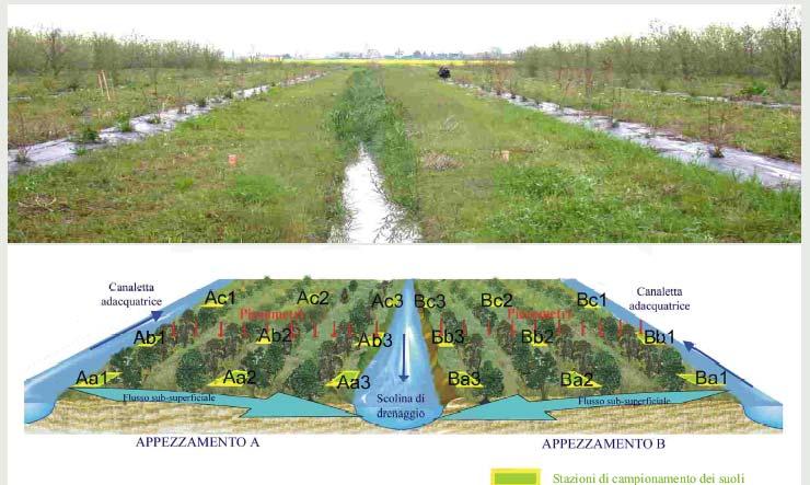 Campionamenti mensili dell acqua sub-superficiale