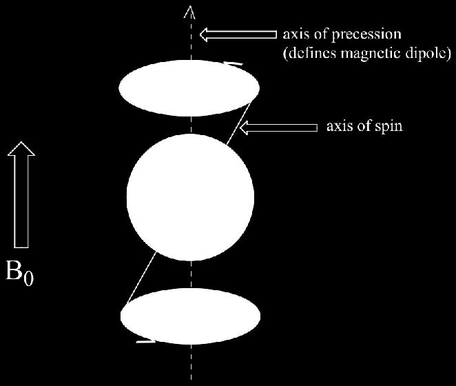 Protoni (nucleo degli atomi di idrogeno) hanno uno spin.
