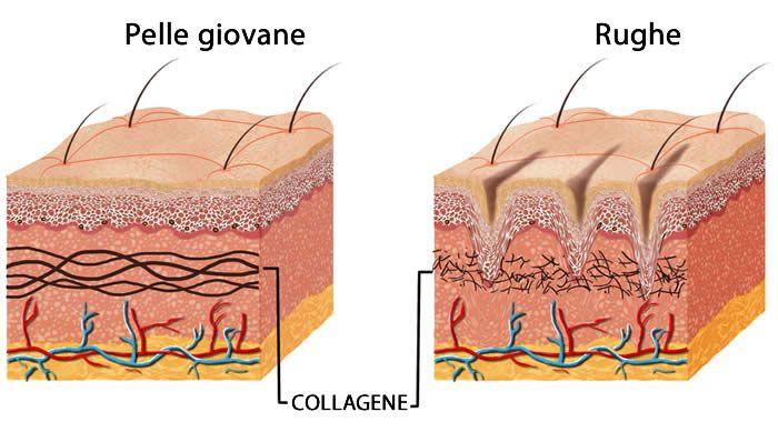 COLLAGENI