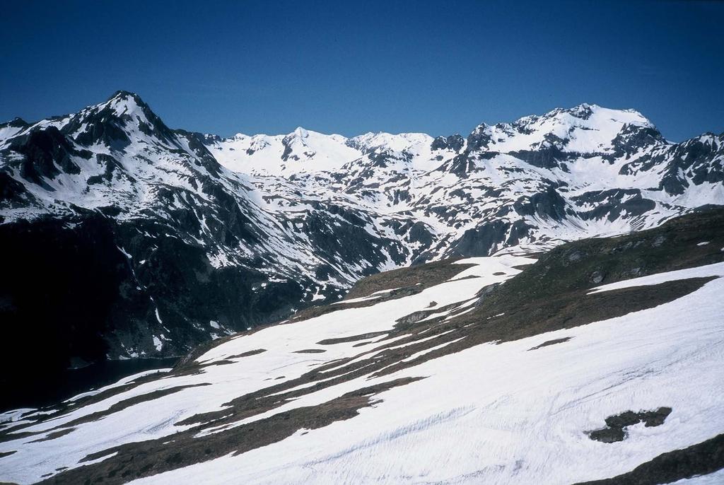 L habitat elettivo della pernice bianca è costituito da vallette