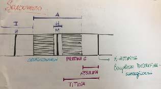 Ogni molecola di miosina è formata da quattro catene leggere e due catene pesanti, queste ultime composte da una testa globulare e una coda ad alfaelica.