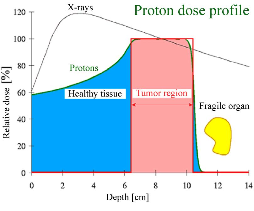 Adroterapia: principi fisici Dose relativa (%) Dose relativa (%) Profilo di dose: protoni Profilo di dose: ioni carbonio Protoni