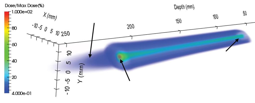 Rivelatore GEM: picco di Bragg Ricostruzione 3D della curva di Bragg di ioni carbonio