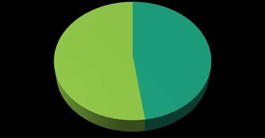 anziano, senza ipoglicemie 52% 48% AMD-SID -