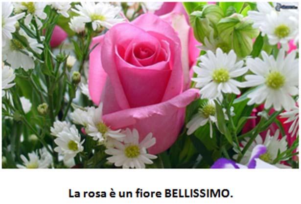 pagina7 Alessandro: La rosa è un fiore BELl Fabio: La rosa è un fiore BELLISSIMO. Bravi! Puoi anche dire: La rosa è un fiore MOLTO BELLO.