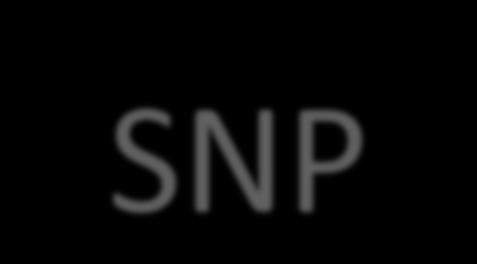 5. Soluzione adottata: SNP