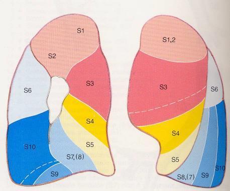 A B Segmentazione