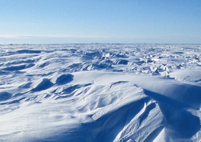 Ubicazione Pianificazione degli spazi Clima locale Protezione ambientale Protezione acustica Produzione di calore Serenità Integrazione e connettività Ingegneria in sede Software sviluppato