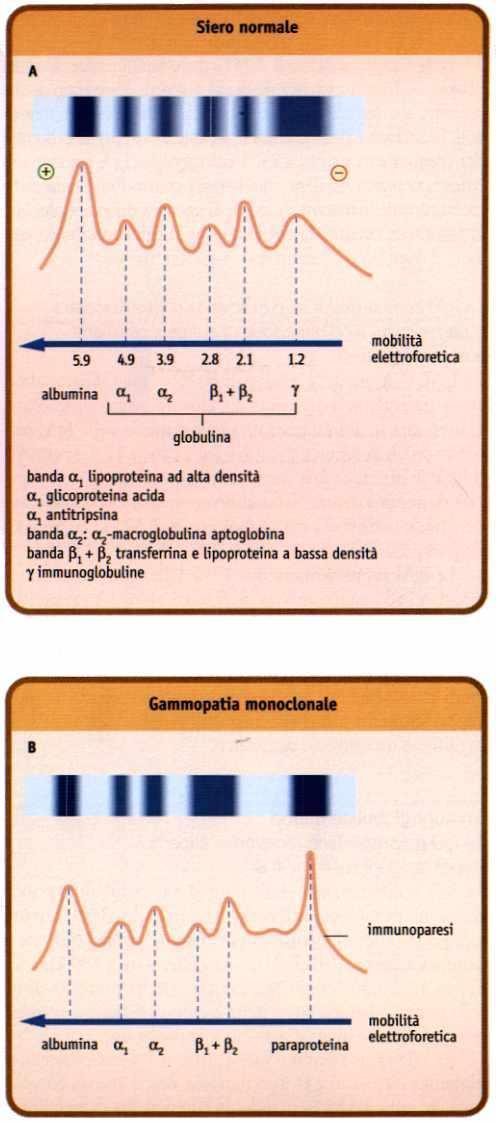 aso clinico: lesioni