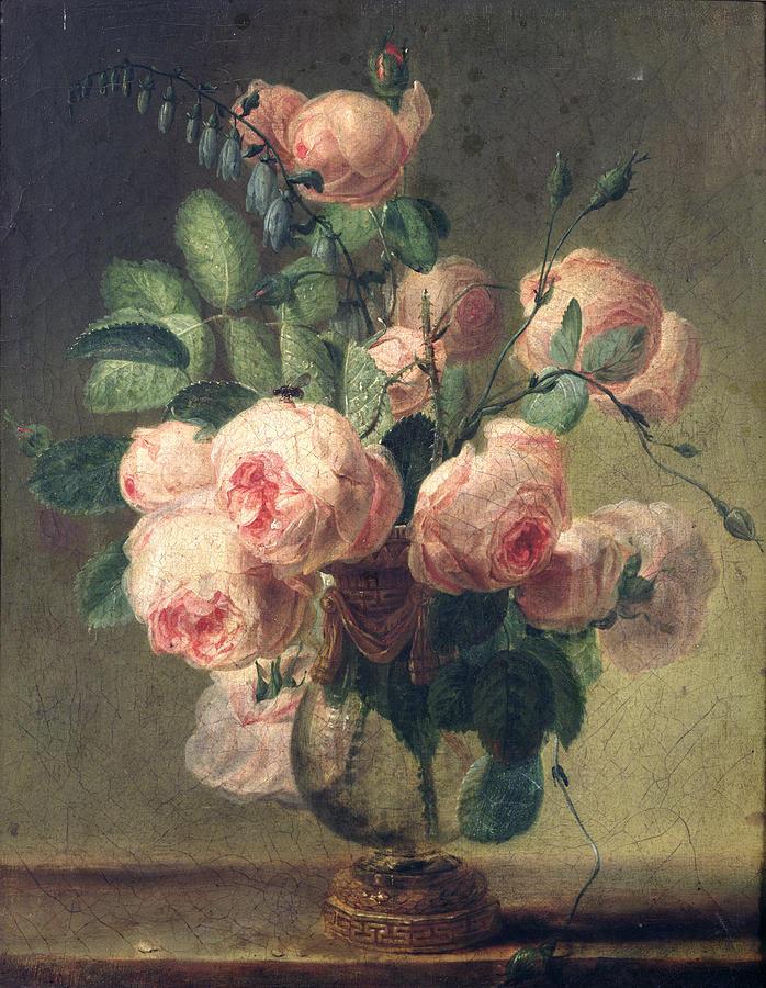 Rose Gallica: è una delle varietà più antiche, utilizzata soprattutto per formare cespugli compatti, visto che l altezza della pianta varia da 1 a 2 metri.
