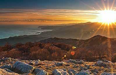 AGOSTO Venerdì 3 agosto ROCK DETECTIVE: LE ROCCE DEL GEOPARCO escursione e laboratorio didattico sul riconoscimento delle rocce presenti nel Geoparco Venerdì 10 agosto ORIENTIAMOCI NEL BOSCO.