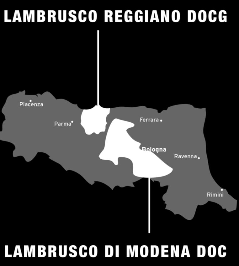 CONSORZIO DI TUTELA DEL LAMBRUSCO DI MODENA CONSORZIO DI TUTELA E PROMOZIONE DEI VINI REGGIANI DOP Produzione Lambrusco DOC: di Sorbara, Grasparossa di Castelvetro, Salamino di Santa