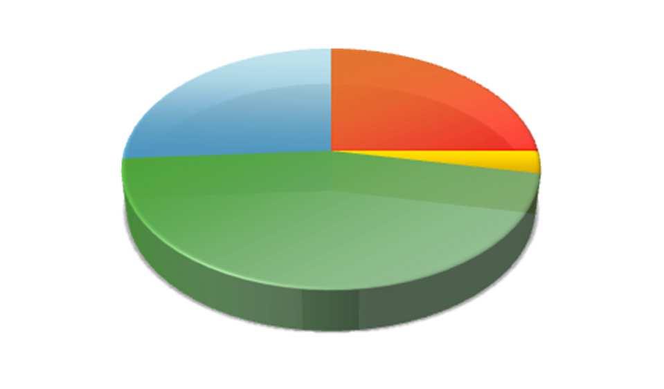 area geografica NAFTA 17,3%