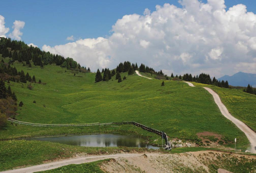 Ogni paese della Val di Non possiede una piccola malga dove d estate le mandrie sono condotte in alpeggio. I Rifugi della valle RIFUGIO PELLER (m.