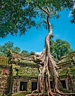 it selezionando la destinazione troverete quote e itinerario sempre aggiornati VIETNAM e cambogia HANOI - HALONG - HUE - HOIAN - SAIGON - DELTA MEKONG - PHNOM PENH - ANGKOR UN PERCORSO UNICO E