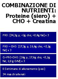 creatine-protein-carbohydrate supplement