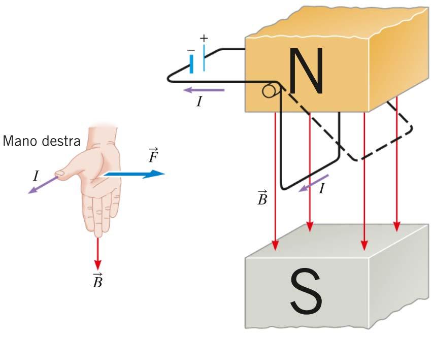 La forza magnetica su un filo percorso da corrente Un filo percorso da corrente prevede un flusso di cariche in movimento sulle quali agisce una forza magnetica.