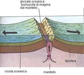 Dorsali oceaniche Sistema di rilievi che attraversano gli oceani Le dorsali che affiorano sono dette: isole vulcaniche Rift valley: avvallamento centrale Le pareti della rift