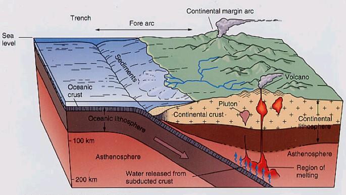 Margini di Subduzione crosta oceanica-crosta continentale Formazione di una fossa