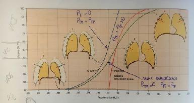 1.4 Diagramma pressione-volume del sistema toraco-polmonare Fisiologicamente, polmone e torace sono strutture adese, quindi per studiare il comportamento globale del sistema toraco-polmonare è