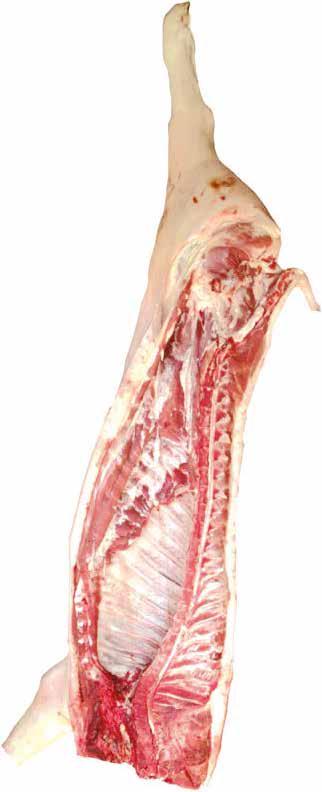 8790767 1 - Coscia o Prosciutto 2 - Lombo o Lombata o Carrè 3 -