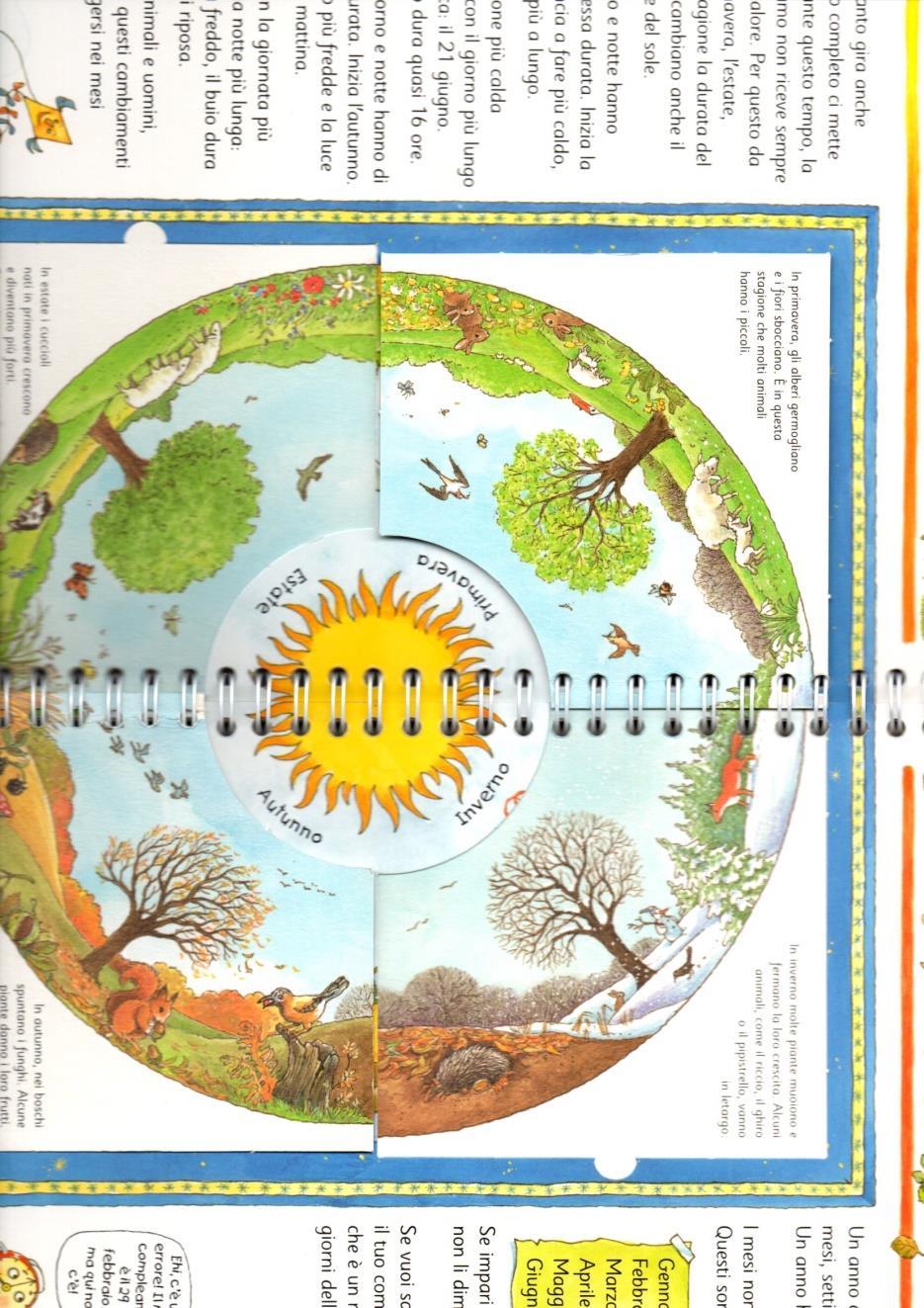 Ma perché esistono le stagioni? La Terra gira su sé stessa e intorno al Sole in 365 giorni.