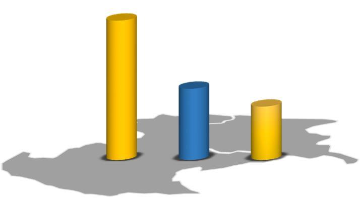 Leadership regionale* (2) 81,6% SALENTO 58,6% VENETO E