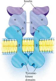 Modulo 11