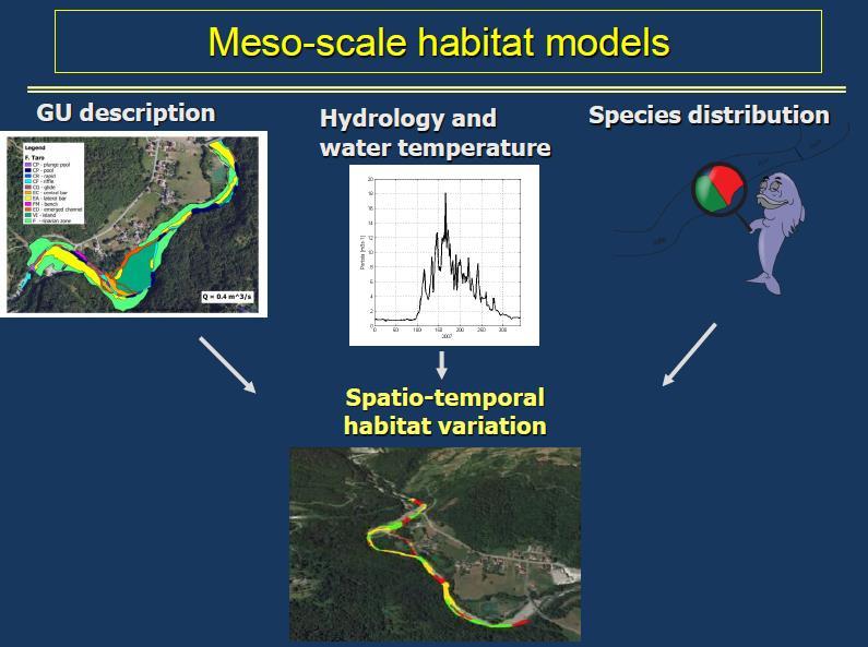 Modellazione di habitat Morfologia Regime