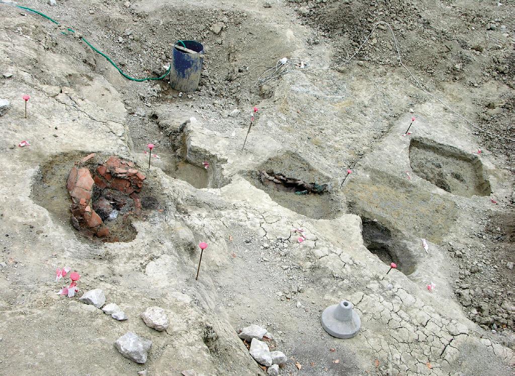 28 P. POLI, E. RODRIGUEZ fig. 7 Verucchio, necropoli Lippi, nuovi scavi 2005-2009.