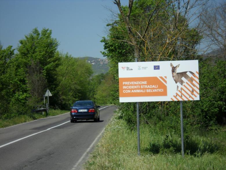 IL PROGETTO LIFE STRADE: La prevenzione degli incidenti stradali con la fauna servatica