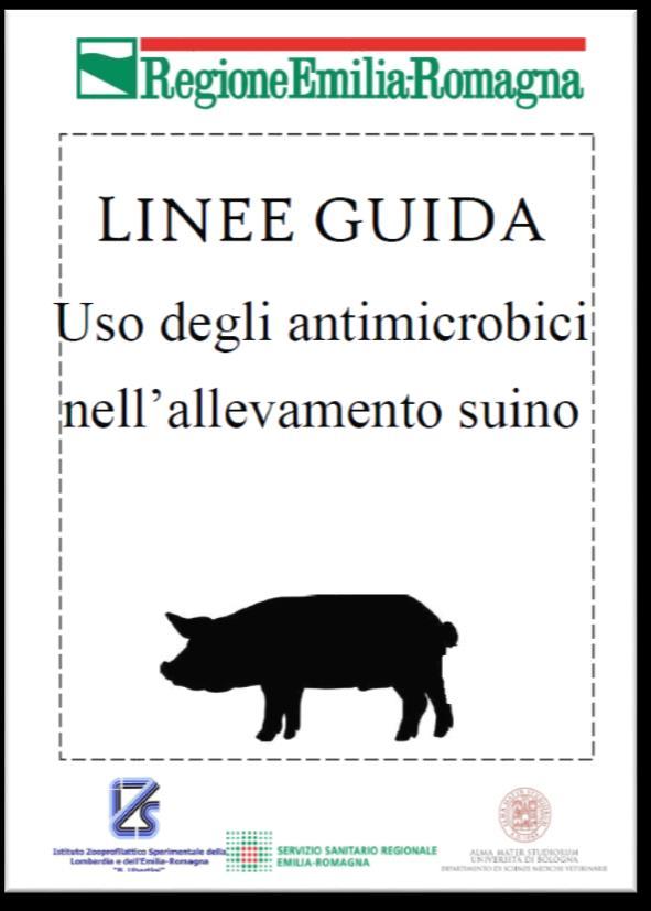 Si propongono come uno strumento pratico e dinamico Non saranno coercitive Ricche di esempi,