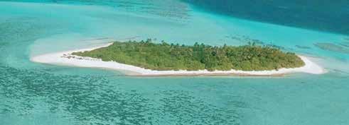 Raa Atoll You & Me by Cocoon You & Me è un Resort privato, rustico e romantico, in