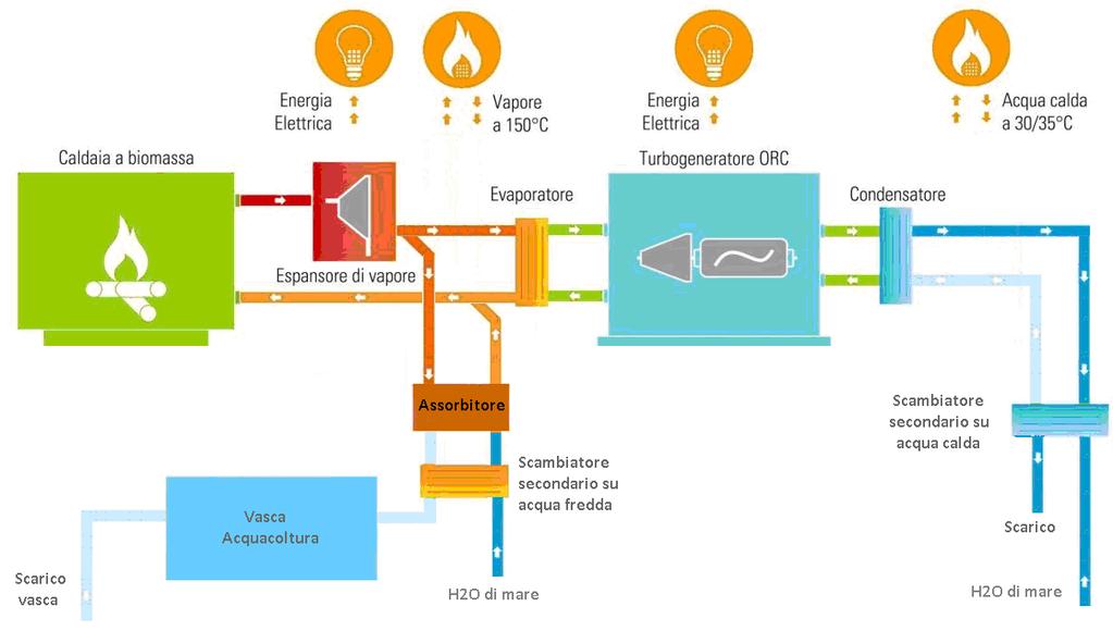 Progetti in corso Trigenerazione a biomasse su vasche di acquacoltura di un impianto ittico Nella configurazione estiva viene