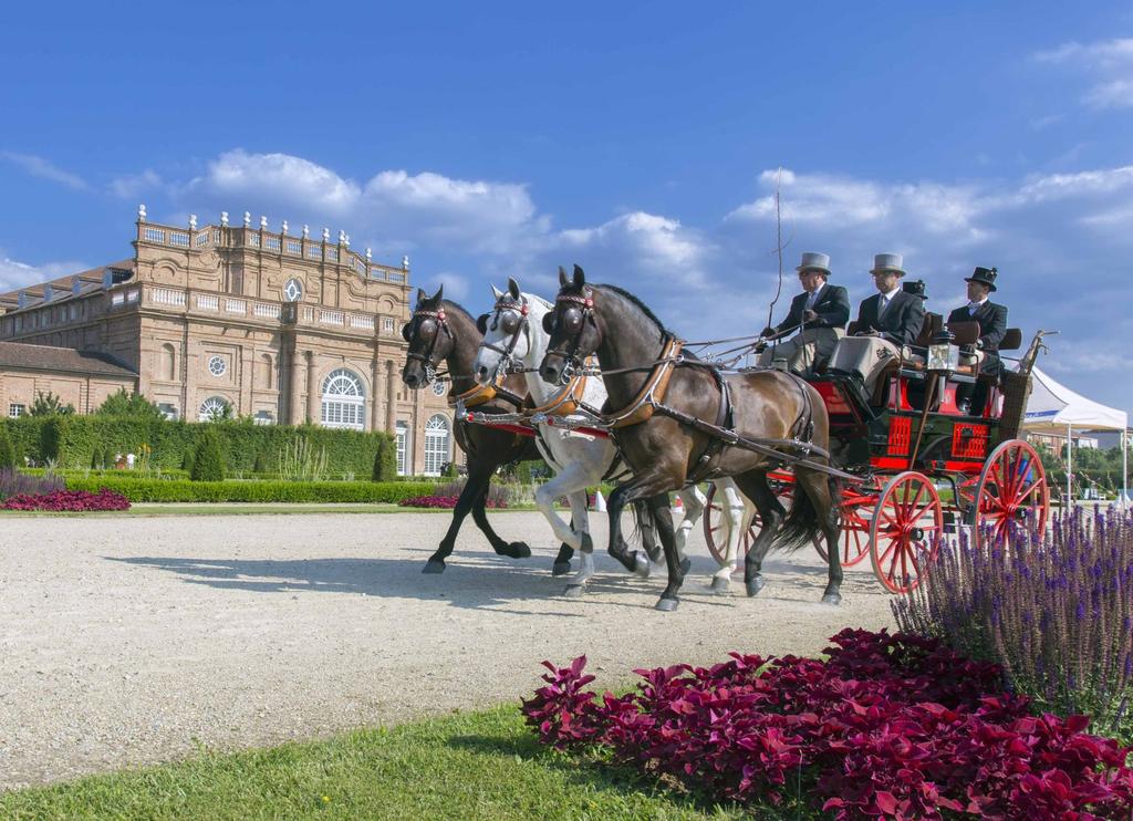 3 IL PROGRAMMA PROVA DI PRESENTAZIONE Sabato 16 - Dalle ore 14 alle ore 18 In occasione della Prova di Presentazione, nel Parco Alto della Reggia, ha luogo una sorta di festa dell eleganza, come si