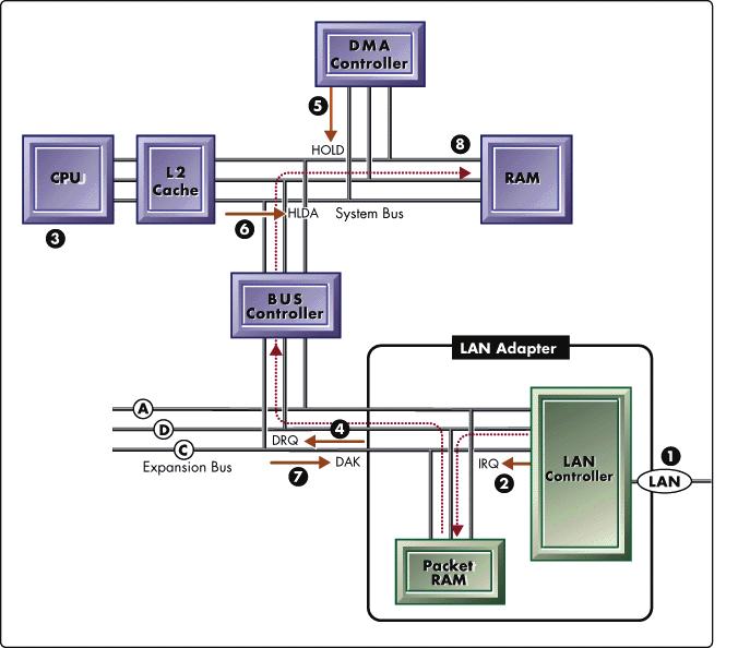 DMA Il DMA, tramite il controllore di accesso diretto (DMAC), ha quindi il compito di gestire i dati passanti nel BUS permettendo a periferiche che lavorano a velocità diverse di comunicare senza