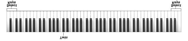 4 - To stop METRONOME feature, hold the 3 white SELECT keys and press the key related to the selected time signature that is now playing.