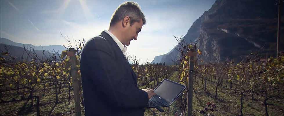 PICA: viticoltura intelligente ed eco-sostenibile Fiore all occhiello del sistema Cavit è PICA, acronimo di Piattaforma Integrata Cartografica Agriviticola, che rappresenta oggi la più avanzata