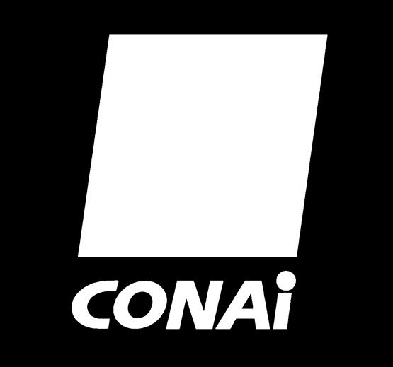 CONAI 2009-2013 Luca