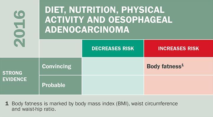 Tumore dell esofago e del cardia L associazione tra obesità e adenocarcinoma dell esofago è stata mostrata in modo