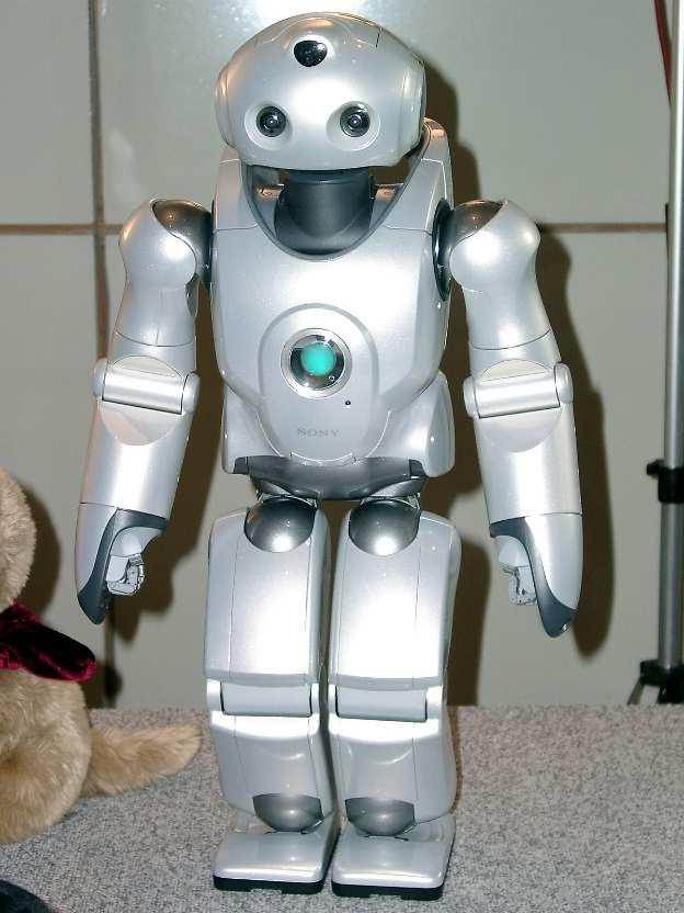 Social robotics «Per definizione un robot sociale dovrebbe comunicare ed interagire con gli umani o con altri esseri viventi in